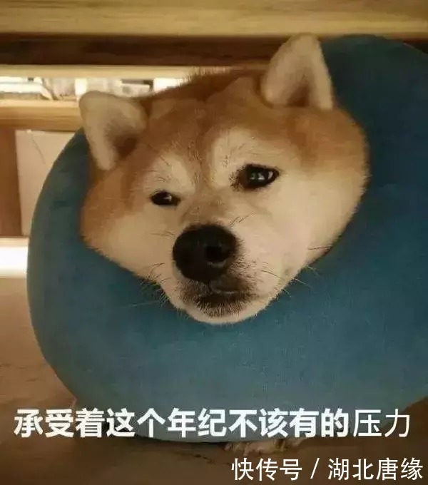 误区|睡前饮酒助眠?睡不着闭眼躺床上?这些睡眠误区,你中招没?