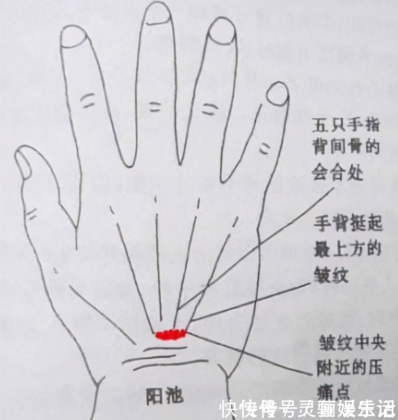 胰岛素|血糖高的人,身体有4个表现,若一个都没有,血糖还算稳定