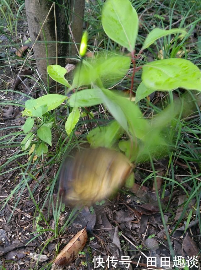 野钓小技巧浮漂做一个小改动,惊鱼几率大降