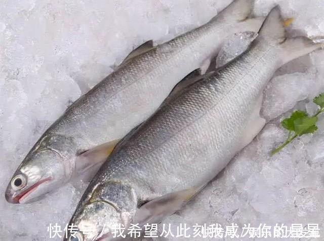 鱼肉|这鱼是鱼中精品，口感鲜香嫩滑，鱼刺少营养高，老人小孩宜多吃