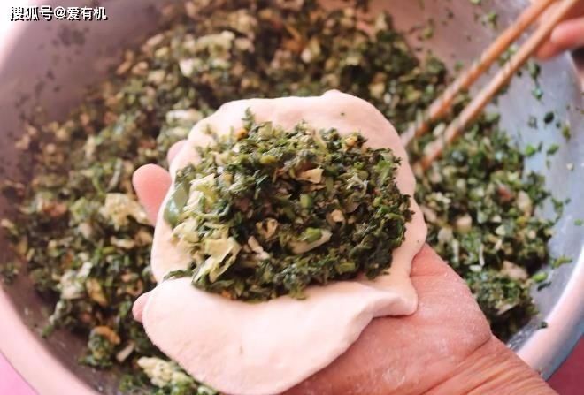 野菜|这种野菜馅的包子,比韭菜馅肉包还好吃,春天一吃就上瘾