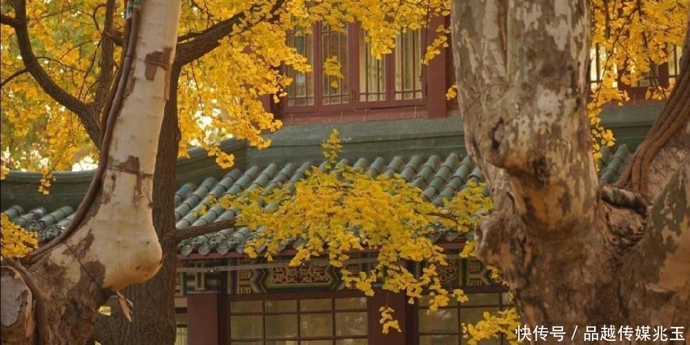 “庙小妖风大,人狠话不多”:真正有本事的人,都很安静