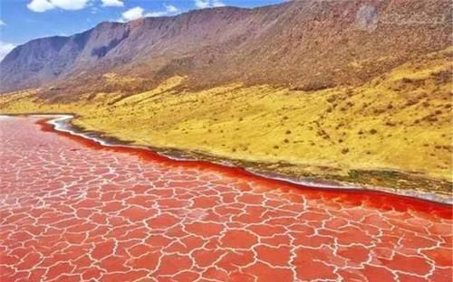 石头|非洲一处红色的湖泊,被称为“血湖”,生物与其接触会变成石头
