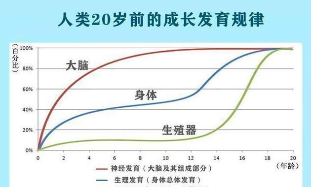 兴趣|李玫瑾：12岁前别给娃报这2种兴趣班，浪费钱，脑力训练才是关键