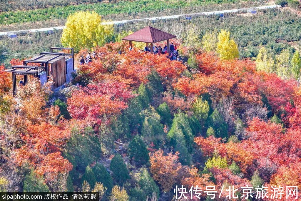 龙湾屯|舞彩浅山即将进入观赏期，带家人去登高赏景吧！