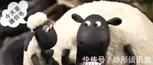 信息中心|临近双十一，为何那么多人喜欢“薅羊毛”？因为热衷于自我欺骗
