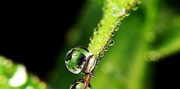 细水长流|一个家庭走向兴旺的4个征兆,你家若有一个,就要恭喜了