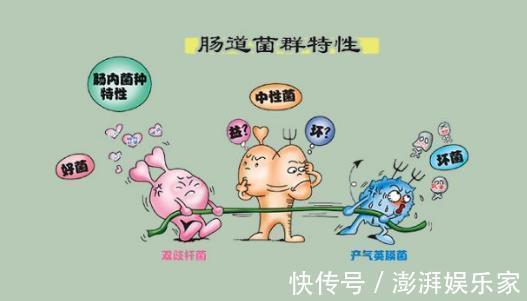 腹泻|经常腹泻、便秘医生养护肠道,只需做到3点,轻松找回益生菌