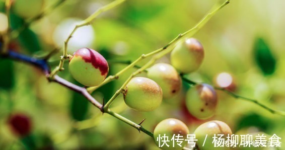 刘医师|总是失眠，用一叶子泡水喝，每天来一点，一觉睡到大天亮