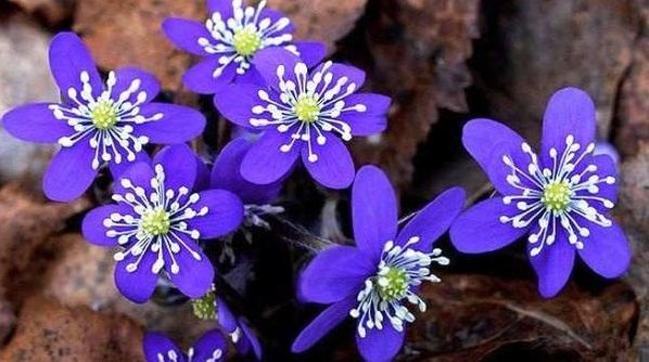 智慧|有一种修养,叫“少管闲事”,这是一种人生大智慧