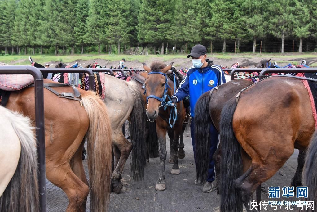 东门|草原马队：“马”上迎来好生活