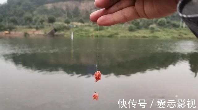 降温天鱼口轻，钓灵好还是钓钝好？这几个重点圈起来要考！