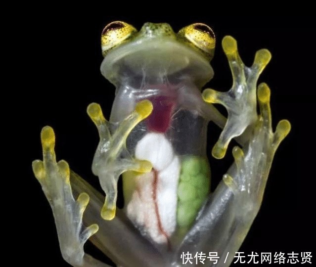 令人 22张“活久见”的照片,令人大开眼界!