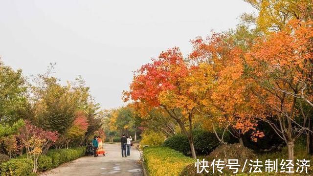 牧牛山|人间至美是深秋!济南牧牛山五彩斑斓，游客打卡定格美好