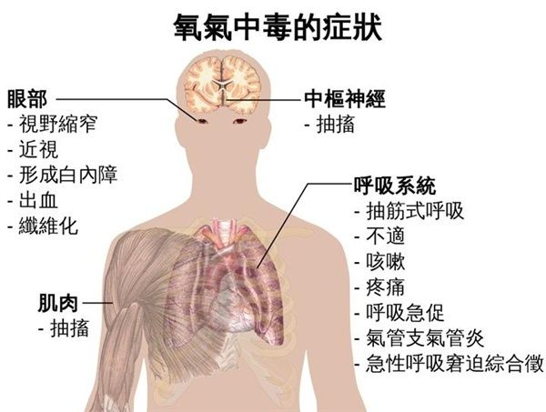 假如地球氧气含量从21%提升到90%，会发生什么？你可以骑着蜻蜓飞