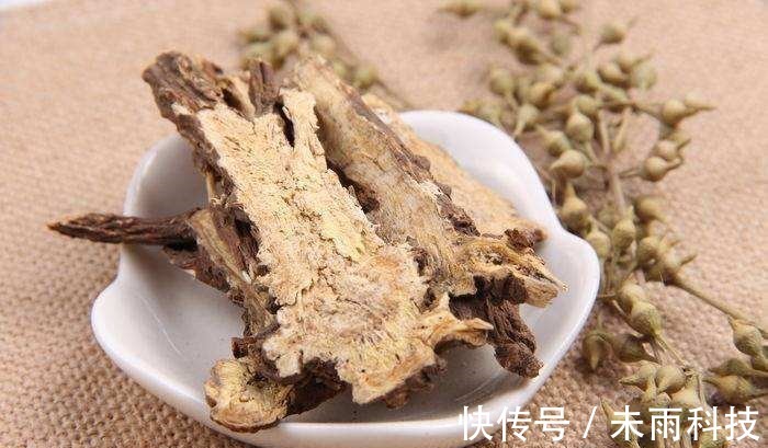 藁本#李时珍灵机一动,记下一张“去头屑”的方子!再不珍惜,恐将失传