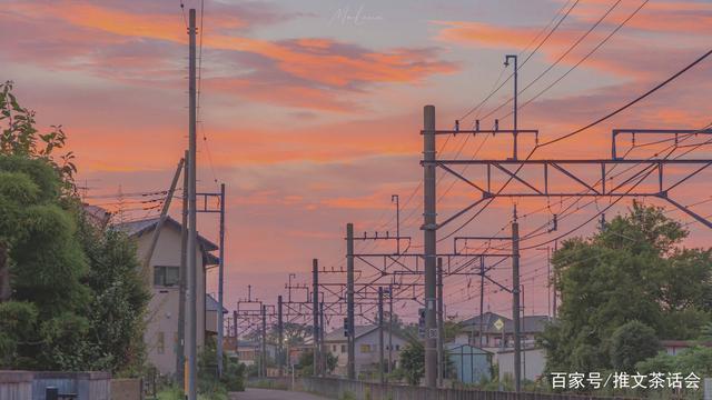 以后少吃鱼$推文茶话会|男主是醋王的文推荐 强推《以后少吃鱼》真的好看