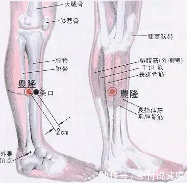  按压|脚底10大保健穴位及按摩方法，学会了补养五脏、滋阴降火，不生病