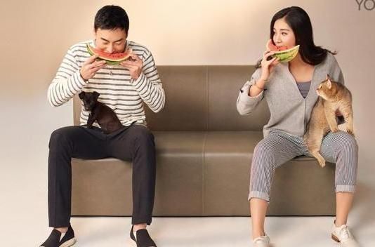 秦凯|参观何姿和秦凯的豪宅,被誉为奥运冠军情侣,如今住着豪华的房子