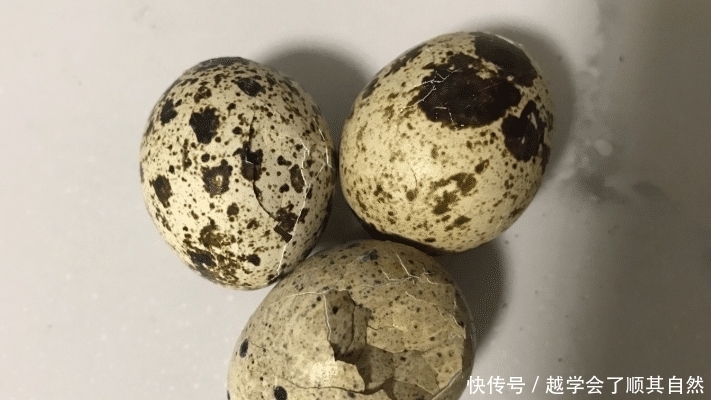 頭腦|不吃肉也要吃它，1個勝過6個雞蛋，孩子多吃眼睛明亮，頭腦靈活