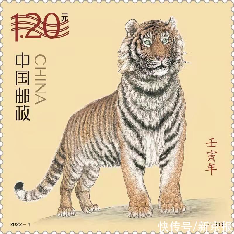 新京报|虎年生肖邮票图稿亮相，明年1月5日上市发售