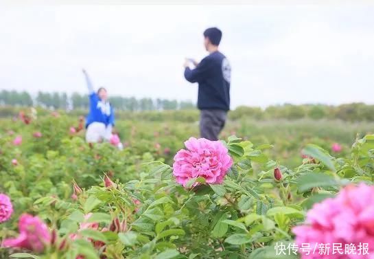 足不出沪！上海也有户外私汤啦！足足38个户外主题汤池，让你一天“泡”不完