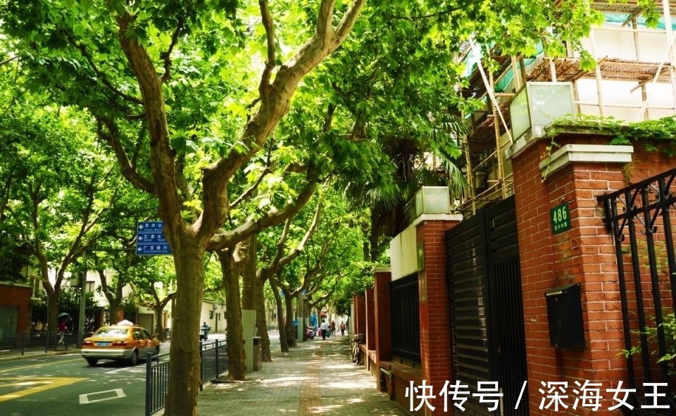 古人种|俗话“庭院有四树，不贵也能富”，指的是哪四种树？有何寓意？