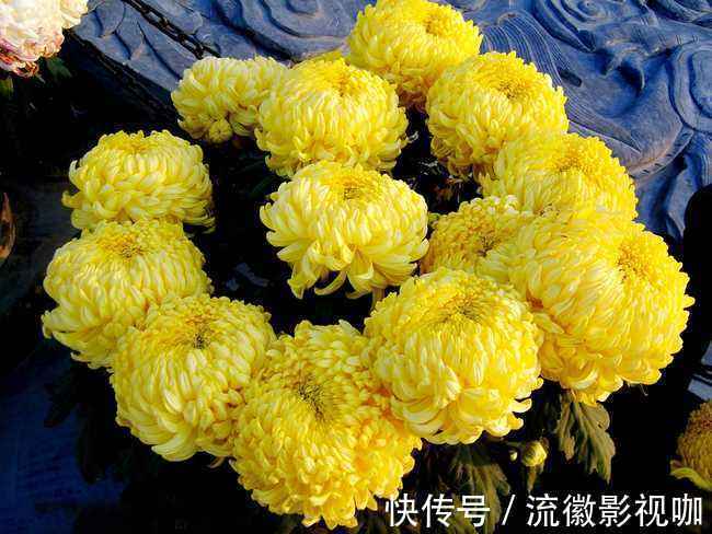 搭档|枸杞和此物是绝妙搭档，每天喝两口，肾气补满了，肝也干净