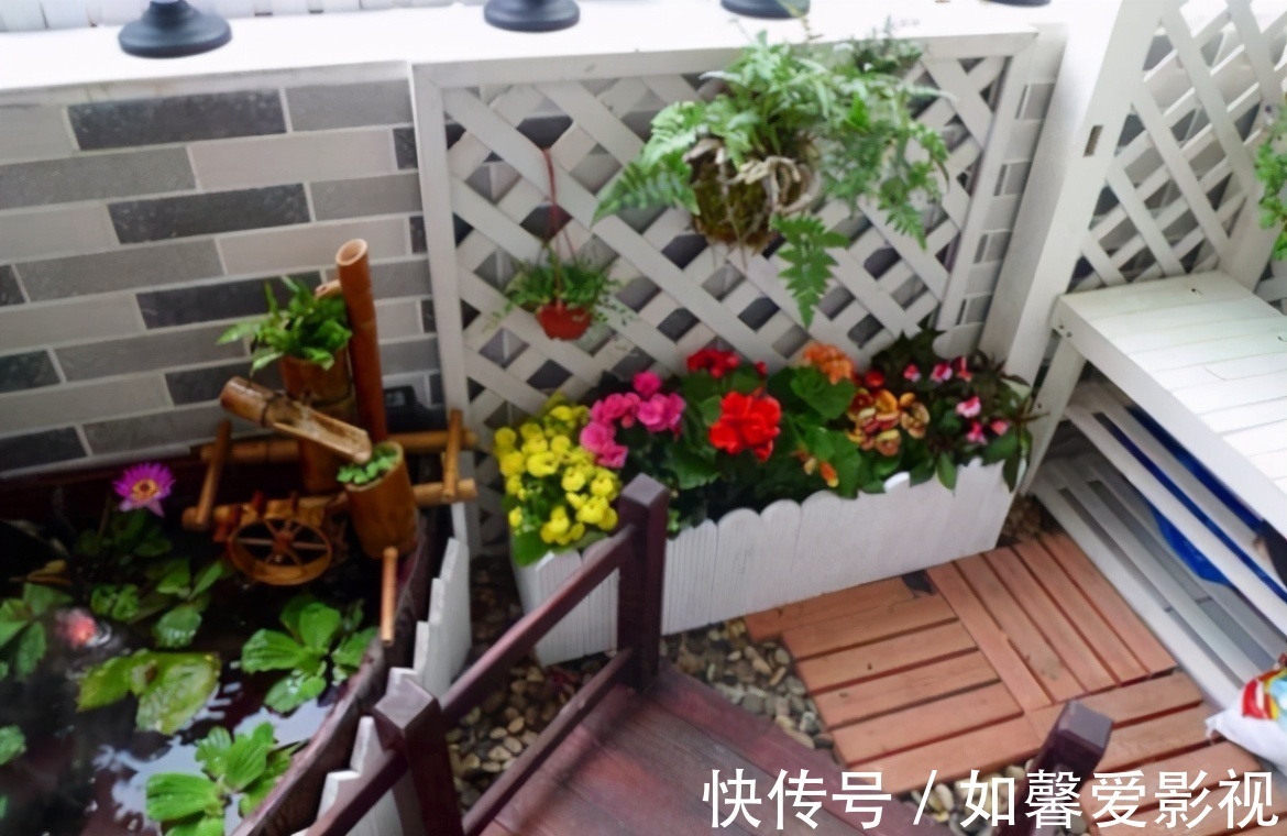 花卉|家庭盆栽花草，摆放、搭配方面该注意什么？有什么讲究？