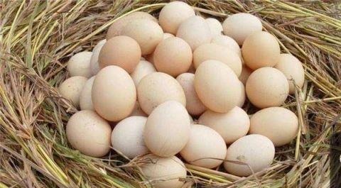 身體|這7種食物能促進(jìn)大腦發(fā)育,對身體好