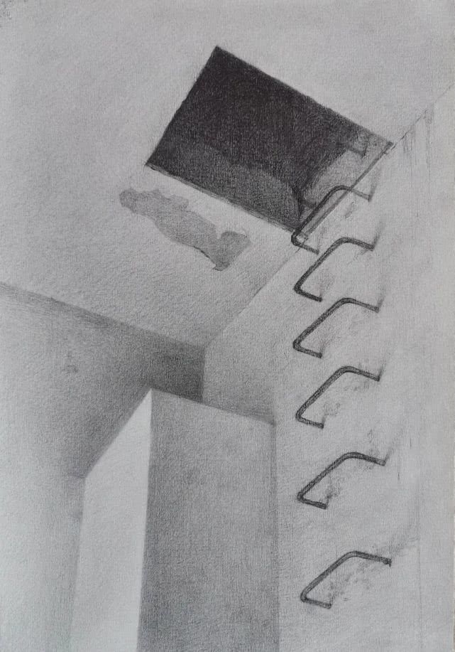 纸本炭笔|赏析中央美术学院2020届基础部素描作品欣赏