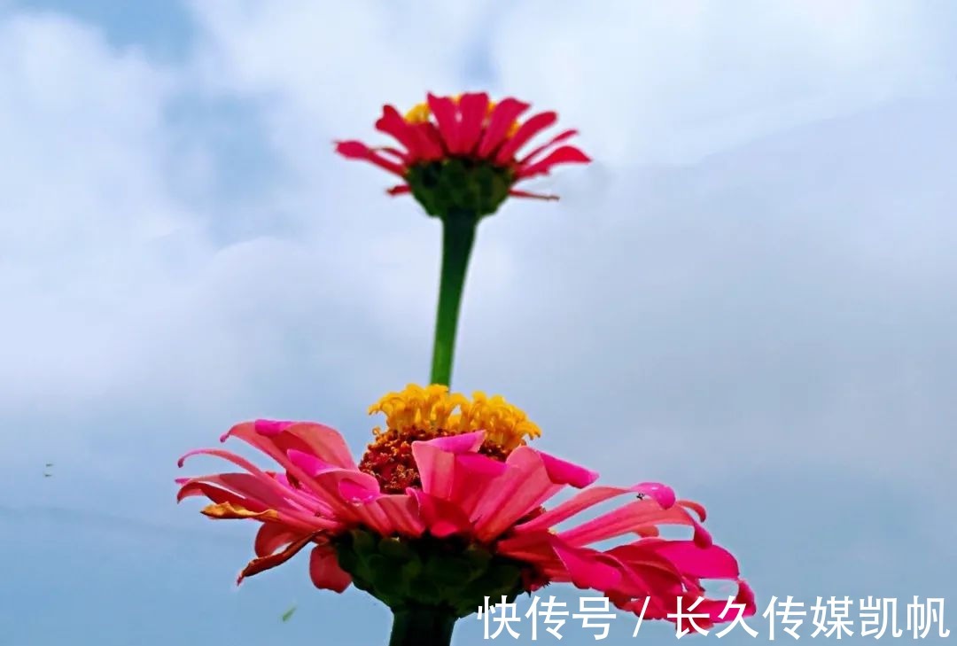 花一叶|随笔：秋天是最诗意的季节