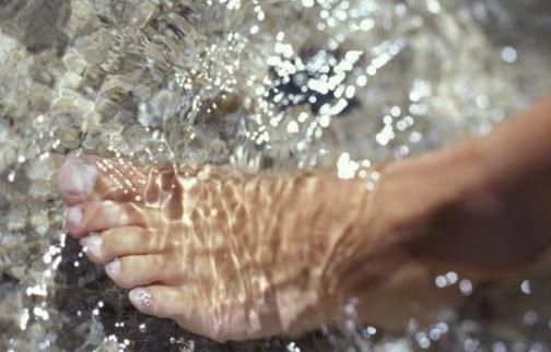 红糖|艾叶是女人的养生草,帮助女人越活越年轻,可惜很少有人知道