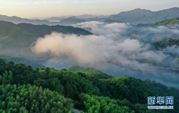 霍山县|仲夏佛子岭 云游山水间