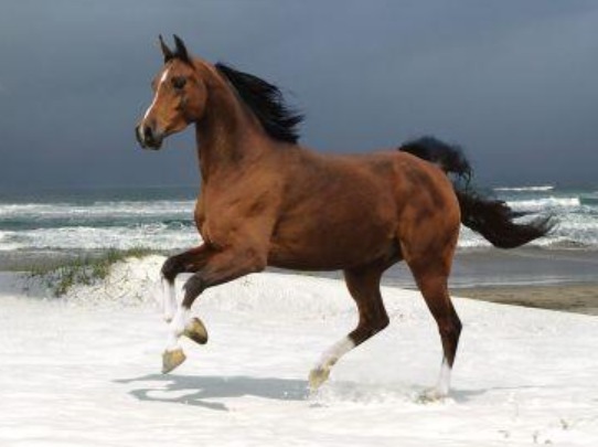 悲壮@辛弃疾送别好友后,写了一首悲壮慷慨的词,传唱千古