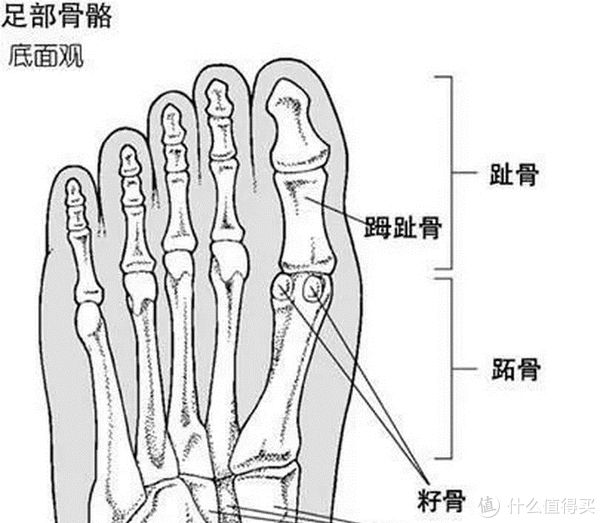 碳板 我的铁人三项 篇二十一：首测！飍 xiu~—咕咚 42K pro 造风者全掌碳板跑鞋，它来了