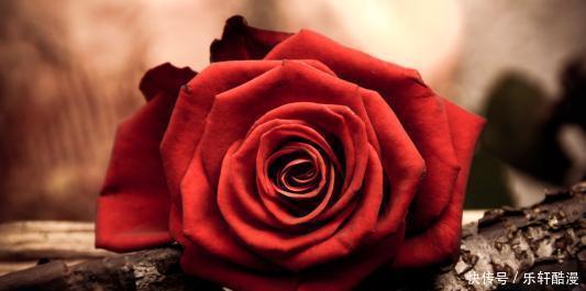 你的生活|12条冷知识，有趣又好玩，你知道袋装薯片和筒装薯片的区别吗