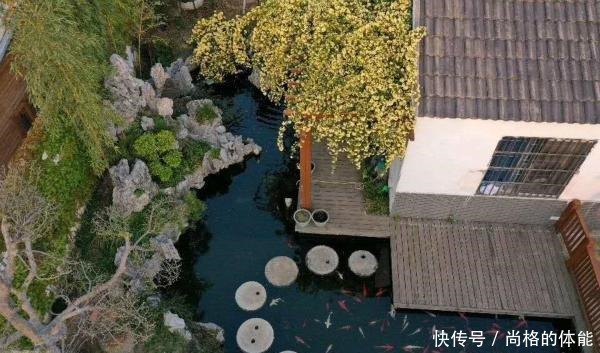 他在木屋旁种了一棵花,一养就是10年,花开时大家都夸神仙居所!