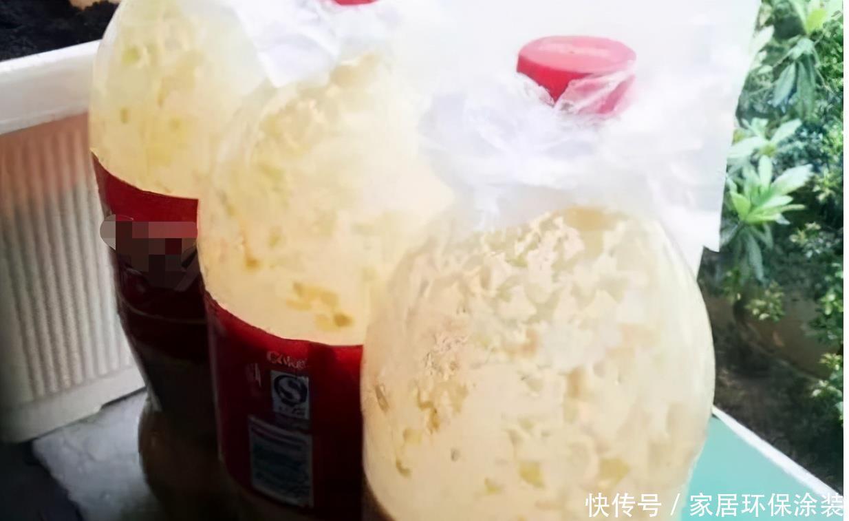 家庭养花选它制作肥料,了解做法,才能既省钱好用又没臭味