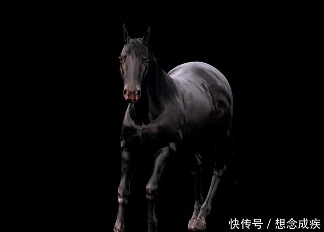 元素|国外超写实表现师,三个月构思海洋之屋,荣获1万美元