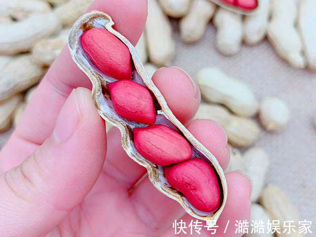 补血|同样是花生,“红皮”和“白皮”的区别这么大知道后别再瞎买了
