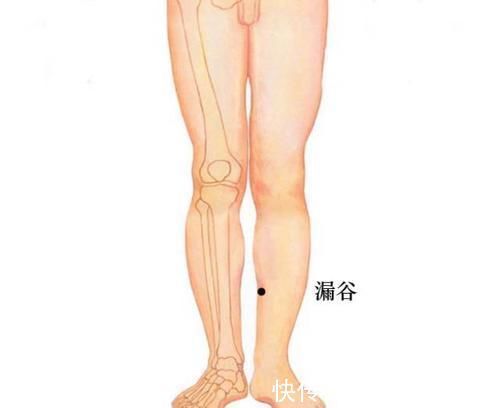 三阴交穴|脾，后天之本！老中医带你品味人体脾经大药！补脾通络，胜吃补药