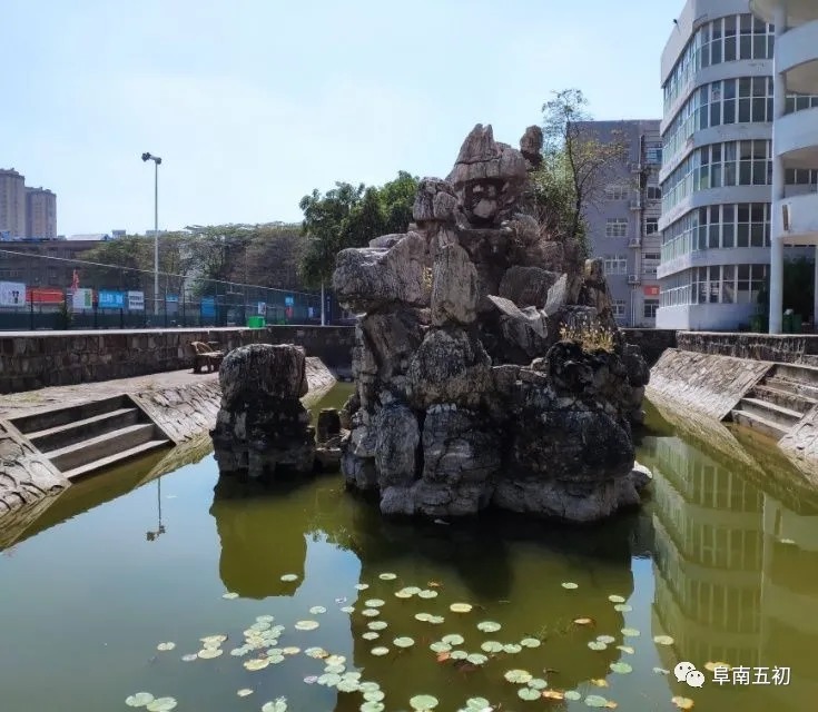 秋色|秋风起兮木叶飞，五初秋兮景正美——赶紧来围观领略阜南五初的美