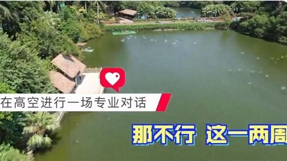 陈艾森|全红婵与师哥同坐缆车，森哥：跳下去能翻几周？红姐：最少2周