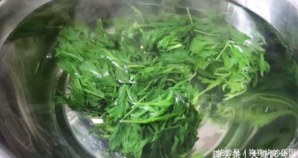 艾草泥|艾草全身都是宝，简单一做，翠绿Q弹，软糯鲜香，好吃营养又解馋
