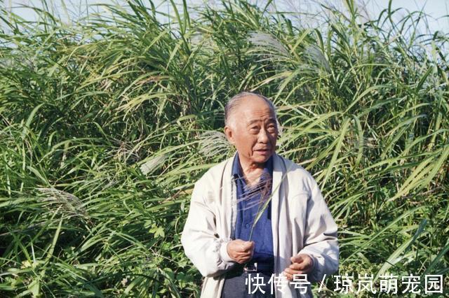 汪曾祺#汪曾祺的7句经典语录,读懂了就活得不累了,尤其是第四句