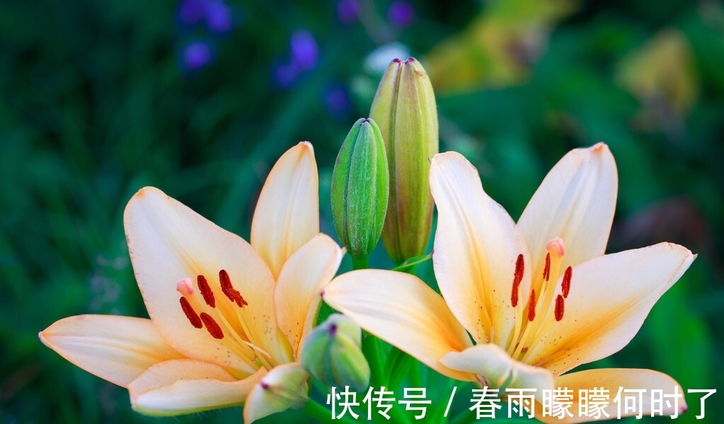 缃帙乱!一窗冷雨,一枕新凉,谁看尽旧时书,谁洒尽今生泪