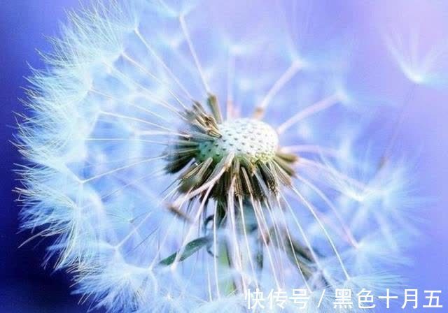 好运气|9月中旬，4个星座，迎来喜事，实力不俗，赢得别人的认可