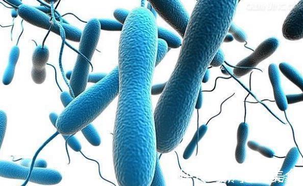 幽门螺杆菌最怕4种食物,家中常备一点,可远离头痛的胃病