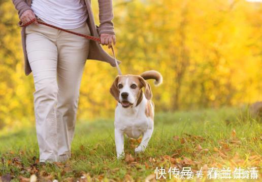 睡前|不论男女,50岁后若能做到睡前“6不要”,身体健康更长寿